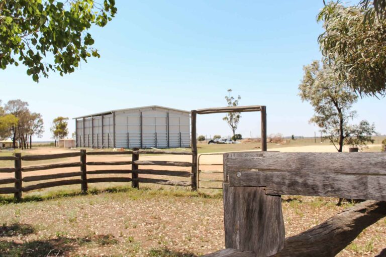 Steel Grain Shed Overview