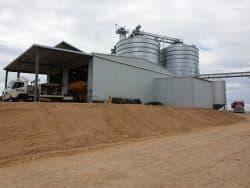 Feedlot Shed