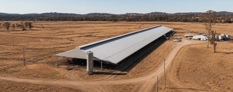 Aerial view of a large cattle loafing barn and livestock infrastructure surrounded by drought-affected farmland under clear blue skies in regional Australia.