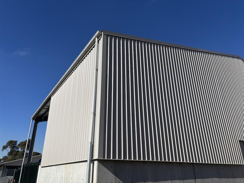 Completed gable end wall enclosure on an industrial effluent shed featuring Colourbond® Trimdek cladding and structural steel framing in Glenfield NSW.