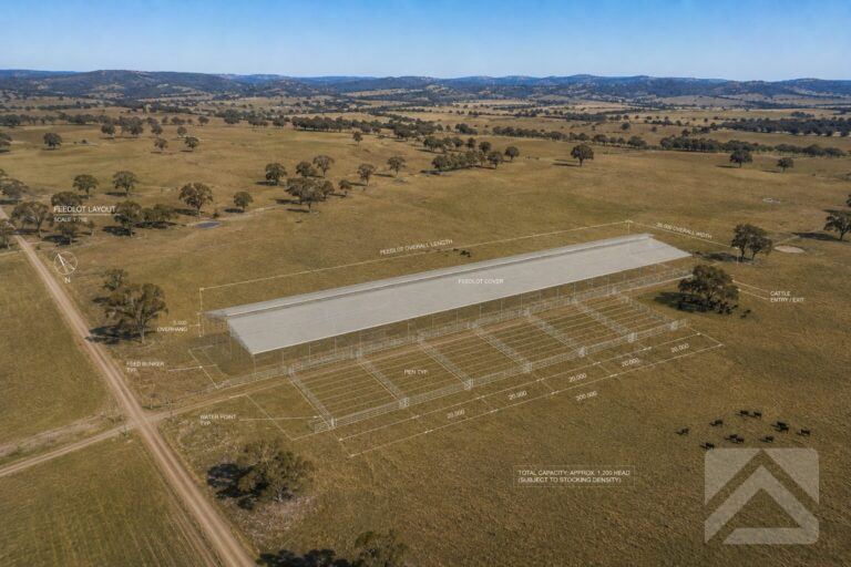 Aerial view of a covered feedlot concept with an architectural overlay showing feedlot layout, cattle pens, feed bunk, dimensions and planning annotations in a rural Australian landscape.