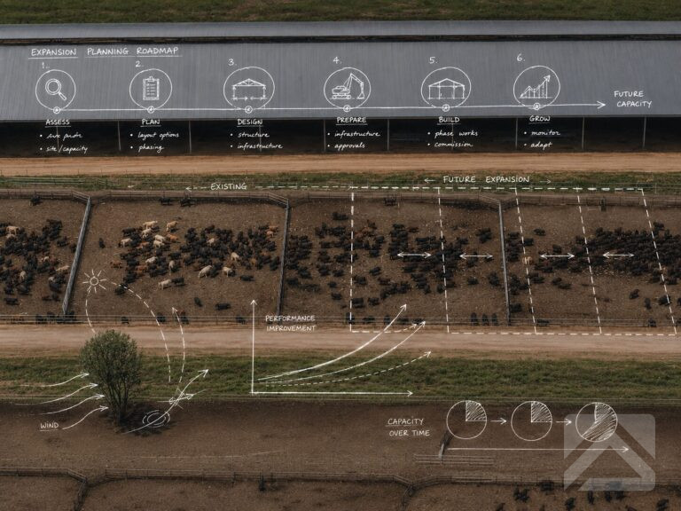 Aerial view of a modern Australian feedlot overlaid with a transparent hand-drawn planning roadmap illustrating feedlot expansion concepts and future development.