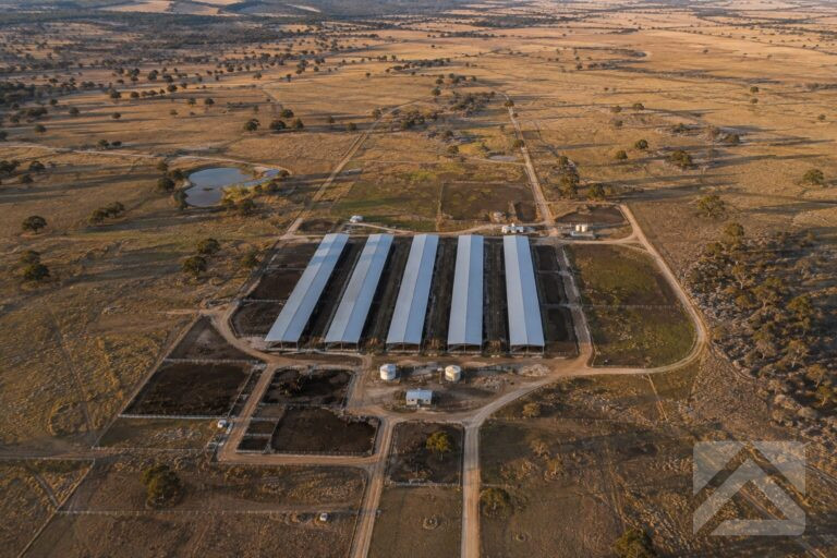 Aerial view of feedlot infrastructure in regional Australia